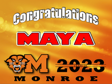 Load image into Gallery viewer, Banner - Monroe HS Graduation - Personalized
